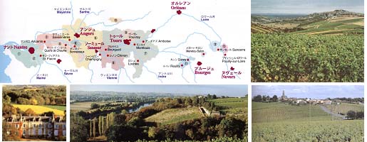 フランス　ロワールワイン、ナント周辺、アンジュとソミュール、トゥーレーヌ、中央フランスなど